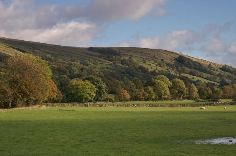 Under Combe Scar. 